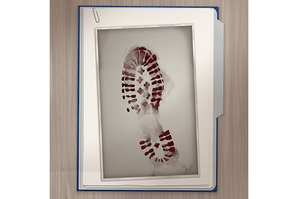 An image of an evidence folder containing a bloody shoe print