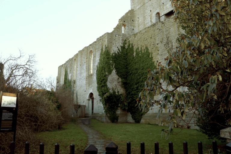 A photo of the Sankt Clemens ruin, covered in evergreen vines.