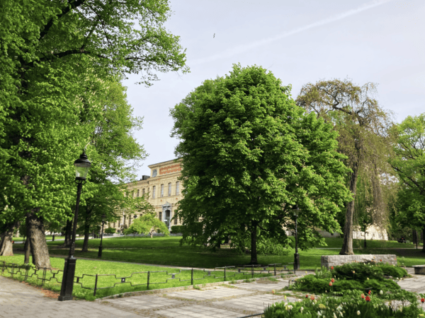 A photo of Humlegården park in Stockholm,. A graveled pathway runs between lush trees.